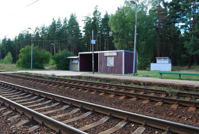 Ēku nojaukšana Stacija “Kalngale” Carnikava