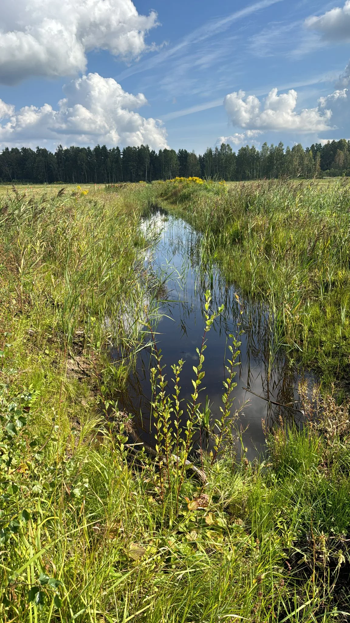 Ceļa izbūve